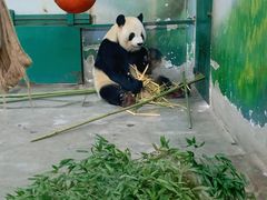 -无锡动物园·太湖欢乐园