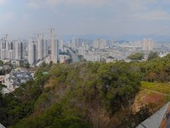 -金鸡山公园