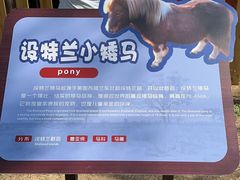 -王借岗森林公园