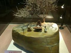 -陕西自然博物馆