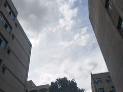 -山东大学(千佛山校区)