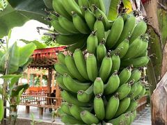 -兴芮温泉度假区