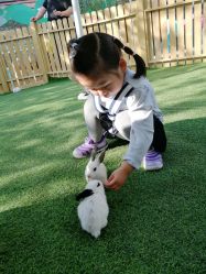 -萌宠亲子动物乐园(槐房万达店)