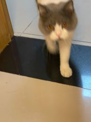 -MARTIN'S BARBER SHOP男士理发馆