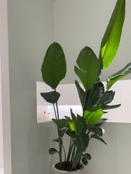 -微笑雨嘉造型护肤