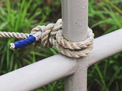 -大埔公路-马料水段香港中文大学(公交站)