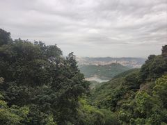-东莞观音山旅游风景区