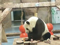 -无锡动物园·太湖欢乐园