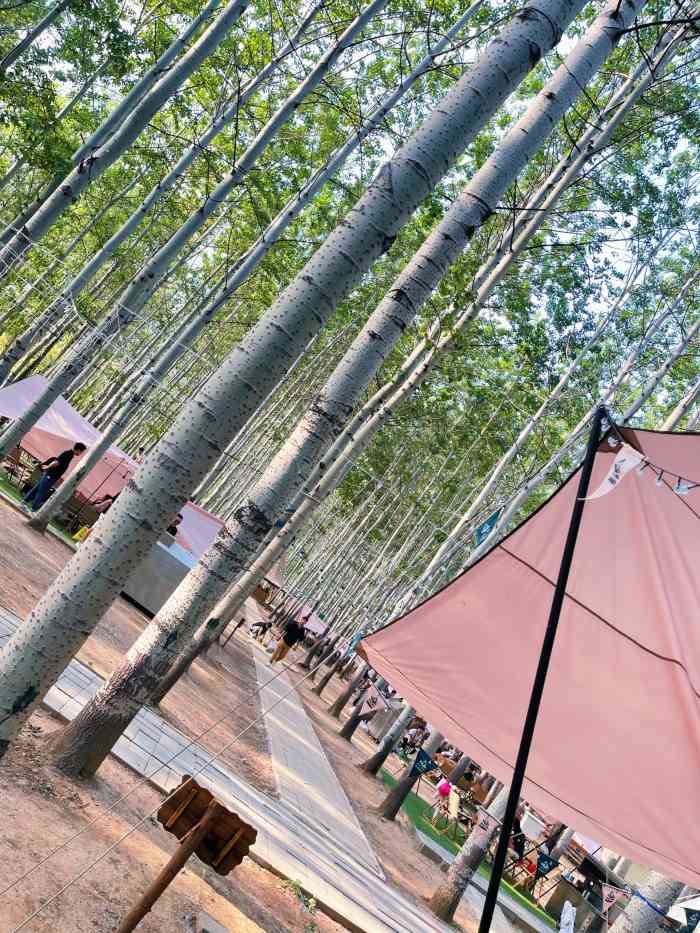 小憩杨林露营基地