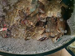 -聚德福海鲜家常菜(刘庄店)