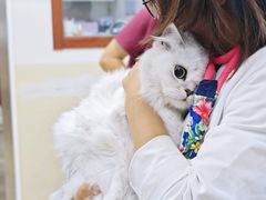 -美联众合动物医院·24h转诊中心