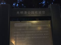 -光明港公园