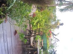 -自然餐厅(Phuket)