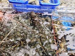 -盒马鲜生(曜一城店)