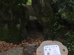 -汇龙潭