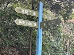 -小南山公园