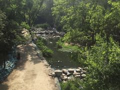 -白水寺森林公园