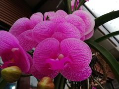 -汇景花园酒家(基立下道店)