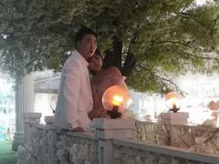 -百万葵园