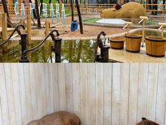 -南戴河国际娱乐中心