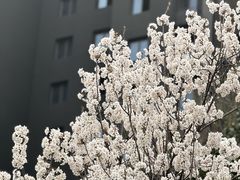 -巴奴毛肚火锅(商城路店)
