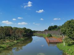 景点-上海海湾国家森林公园