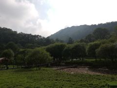 -大水川景区