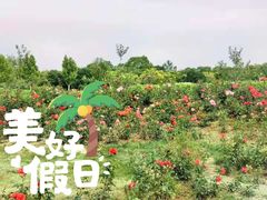 -安德鲁户外烧烤帐篷营地(马泉营店)