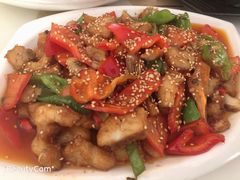 -煲来饱去冷水鱼