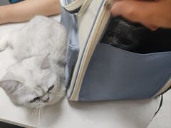 -中农国际动物医院24小时·猫科·骨科·急重症中心