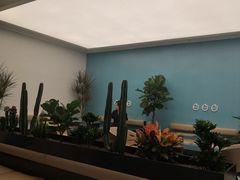-CoCo都可(中集店)