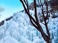 -黑龙潭风景区