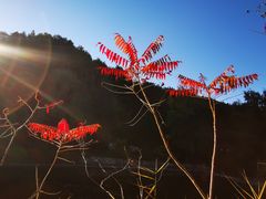 -仙居谷风景区