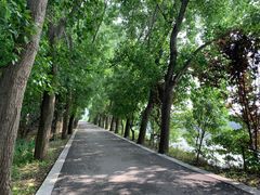 -同里国家湿地公园