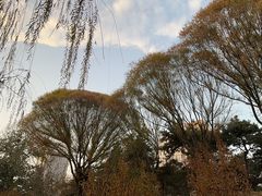 -元大都城垣遗址公园