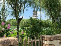 -济南方特东方神画