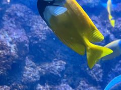-海合安青岛极地海洋公园