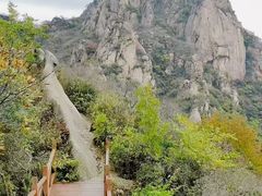 -大岭沟猕猴桃谷风景区