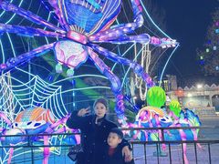 -淄博花灯齐彩城