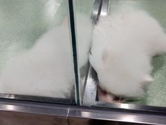 -欧亚汇集(飞跃路店)