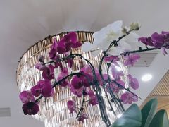 -第六季自助餐厅(甜水园店)