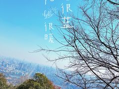 -大蜀山国家森林公园