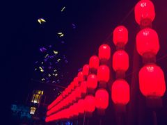 -金城公园