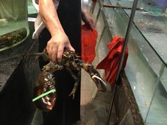 -新海利海鲜城·41年珠海老字号(夏湾店)