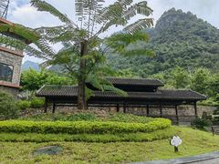 -长寿村