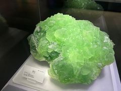 -湖南省地质博物馆