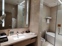 -圣爵菲斯大酒店(长沙世界之窗店)