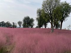 -汉长安城未央宫国家考古遗址公园