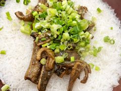 台山黄鳝焗饭-万年酒楼(越秀南路店)