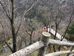-牛背梁国家森林公园